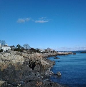 Meet your Posher, Annie